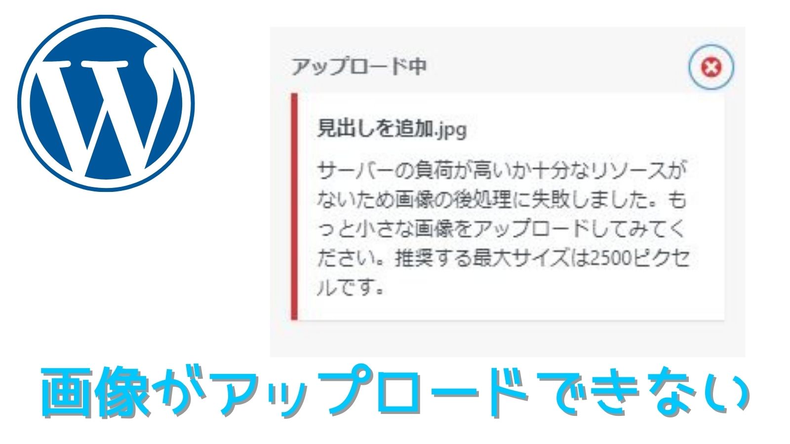 Wordpress