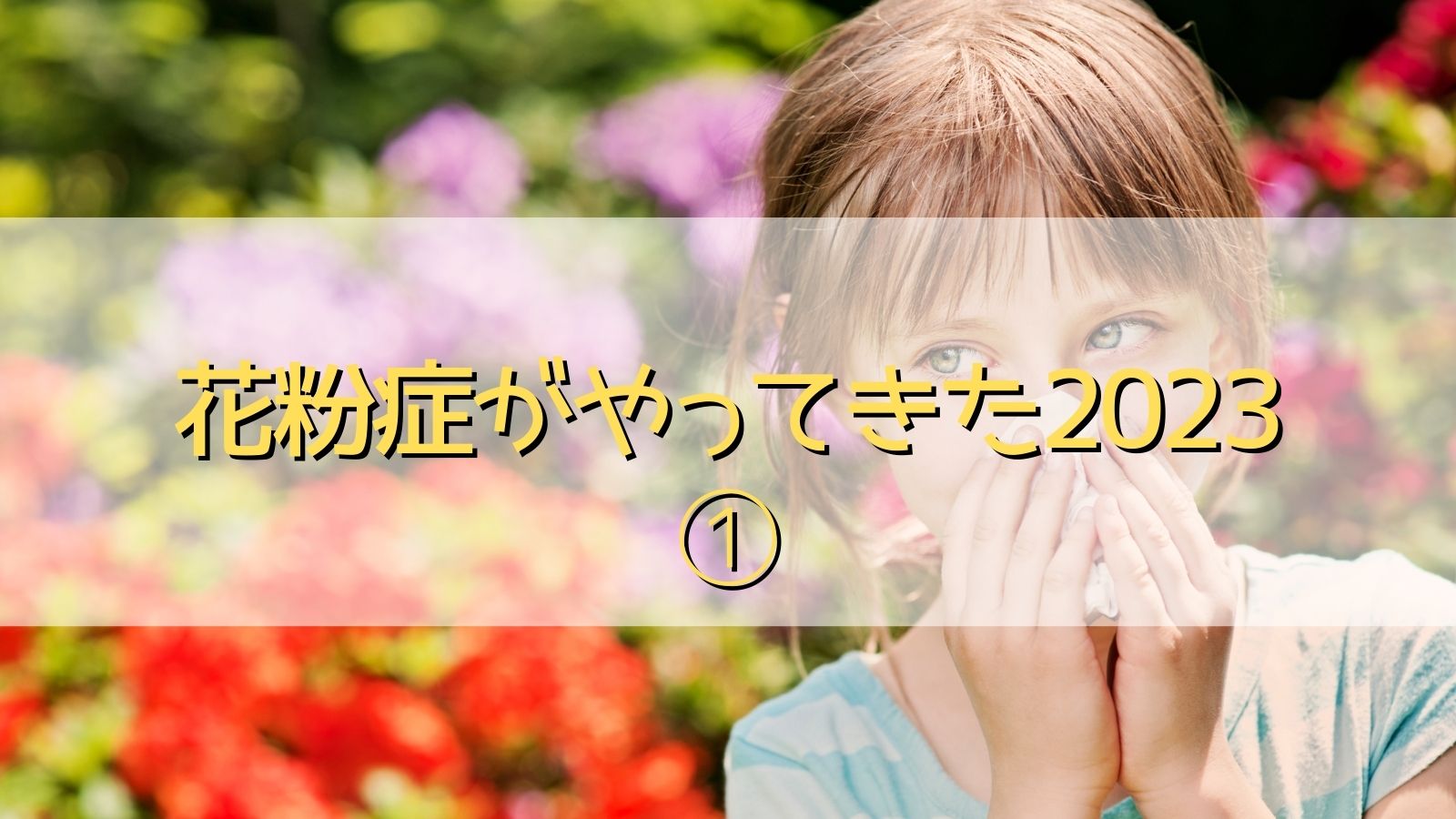 花粉症2023