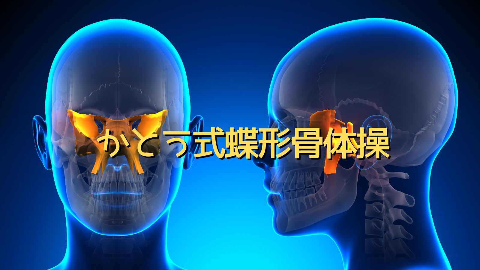 かとう 式 蝶 形 骨 体操